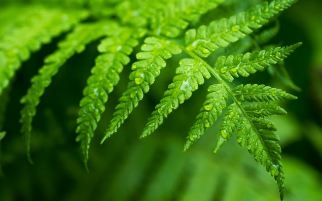 shutterstock_140659210