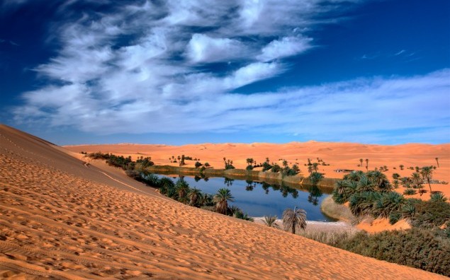 Oasi in sahara desert under blu sky