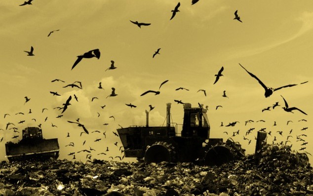 The bulldozer buries food and industrial wastes