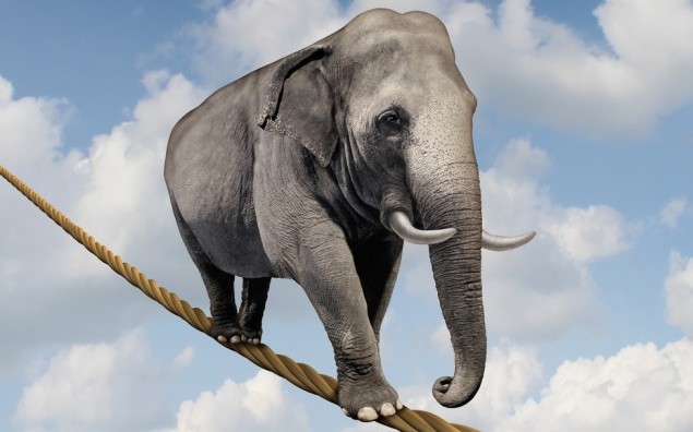 Managing risk and big business challenges and uncertainty with a large elephant walking on a dangerous rope high in the sky as a symbol of balance and overcoming fear for goal success.