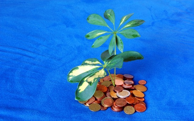 island with money coins and leaves showing tax shelter concept