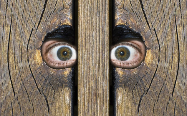 Eye behind wooden fence staring!