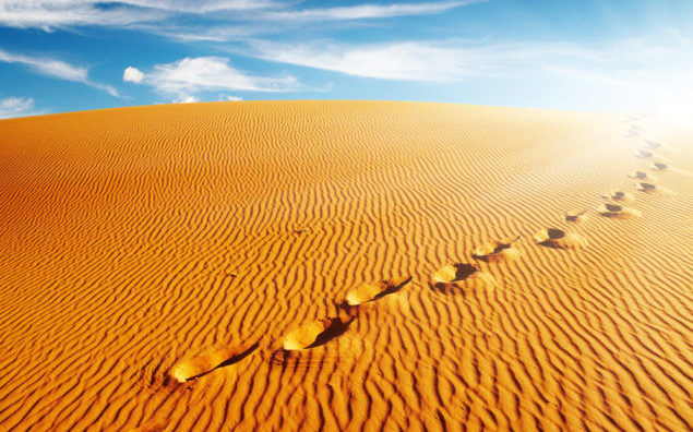 Footprints on sand dune, Sahara Desert, Algeria