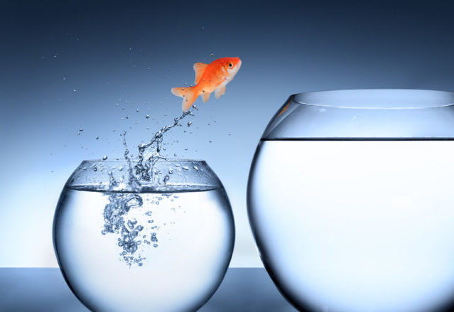 Opportunity, rise and improvement concept