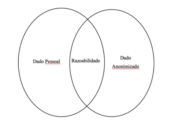 Dados “anônimos” como antítese de dados pessoais: o filtro da razoabilidade