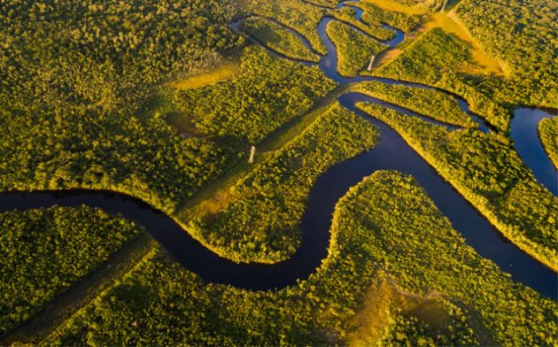 Referências do direito ambiental – Leme Machado, Milaré e Bessa Antunes – enviam carta a Bolsonaro sobre novos rumos da Política Ambiental brasileira