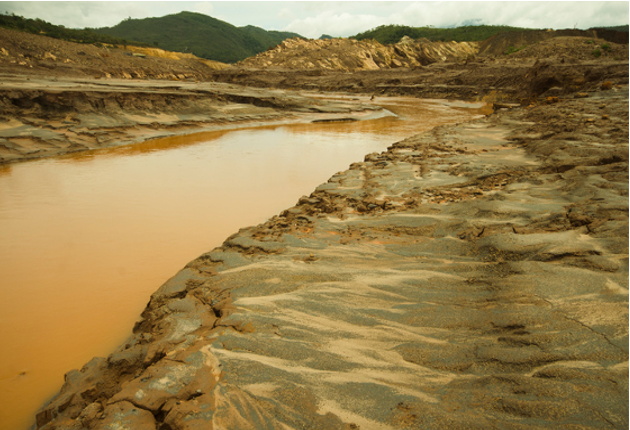 Qual a responsabilidade do Direito Ambiental?