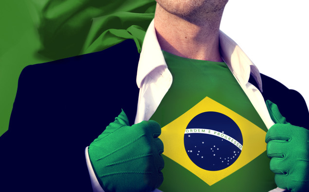 O Sistema Brasileiro de Combate à Corrupção e a Lei 12.846/2013 (Lei Anticorrupção)