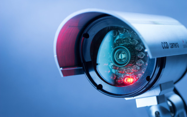 Vigia e vigilante: Diferenças