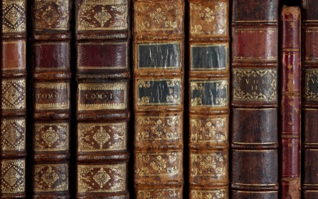Bases de uma teoria do delito a partir da filosofia da linguagem