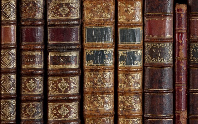 Bases de uma teoria do delito a partir da filosofia da linguagem