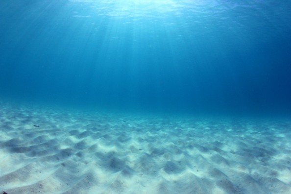 O mar não está pra peixe (e nem para mendigos)