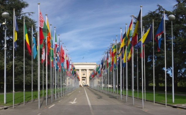 A proteção internacional dos direitos humanos e o referencial de subsidiariedade