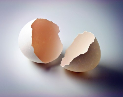 Tipicidade material, aborto e anencefalia