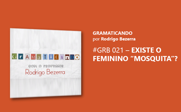 Gramaticando: Existe o feminino “mosquita”?