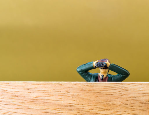 Biografias, Privacidade e Indenização