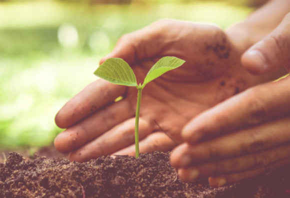 Limites da responsabilidade ambiental objetiva