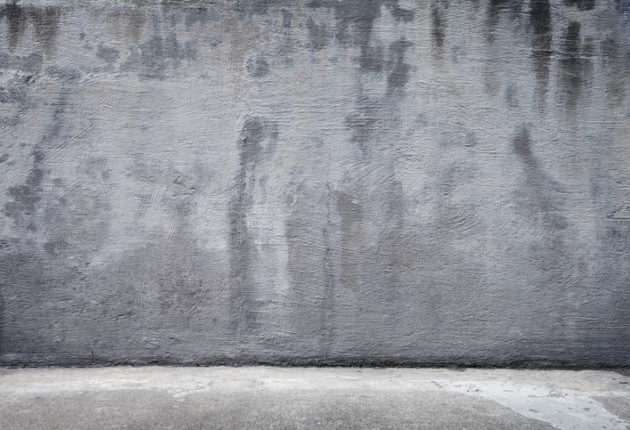 Visão estética do Poder Público não pode apagar direito ao grafite