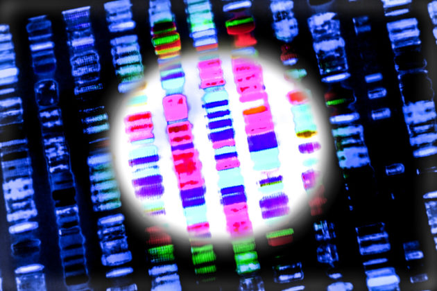 Bancos de dados de DNA