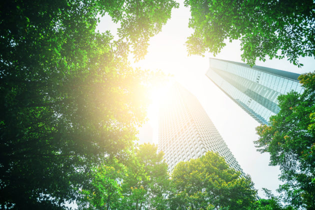 Competência do município para legislar sobre Meio Ambiente