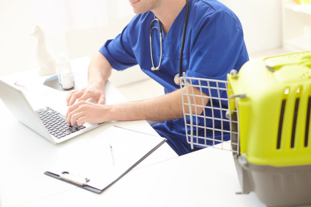 ISS. Serviços de medicina e assistência veterinária e congêneres