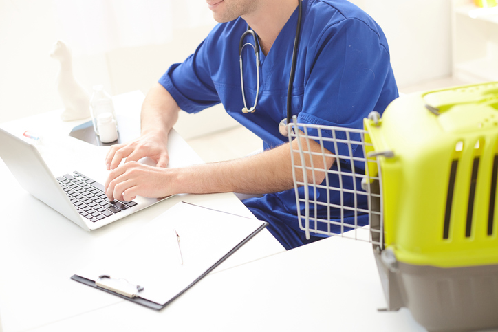 ISS. Serviços de medicina e assistência veterinária e congêneres