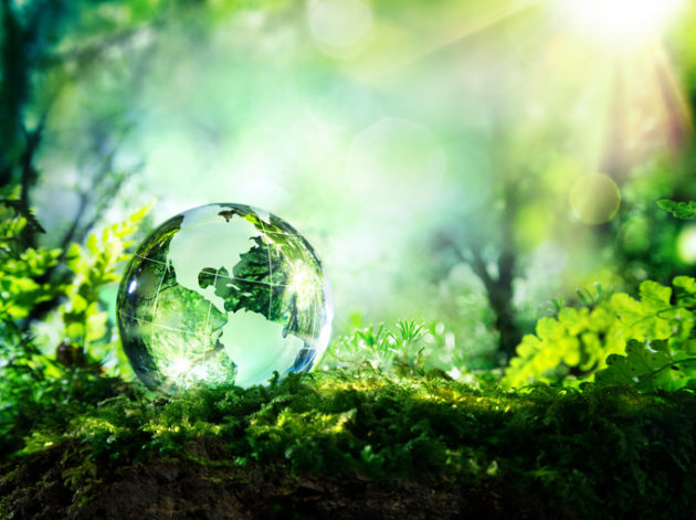 Entrevista com Cristina Voight – Desenvolvimento sustentável e seus objetivos – 22º Congresso Brasileiro de Direito Ambiental