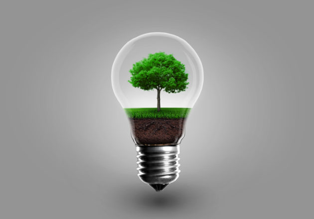 Entrevista com Kirstyn Inglis – Desenvolvimento sustentável e seus objetivos – 22º Congresso Brasileiro de Direito Ambiental