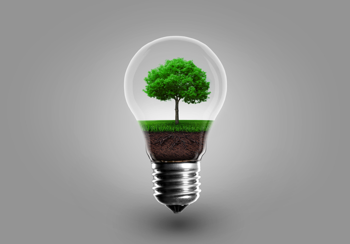 Entrevista com Kirstyn Inglis – Desenvolvimento sustentável e seus objetivos – 22º Congresso Brasileiro de Direito Ambiental