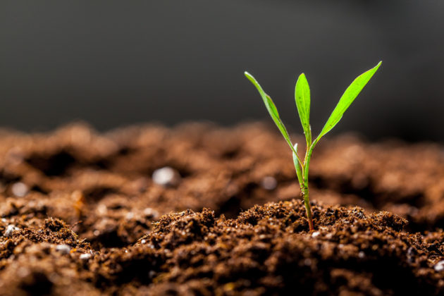 Entrevista com Marina Venâncio – Agroecologia – 22º Congresso Brasileiro de Direito Ambiental