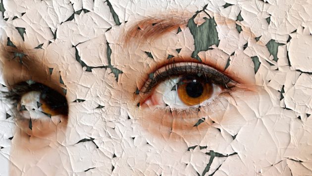 A Violência Patrimonial contra a Mulher nos Litígios de Família