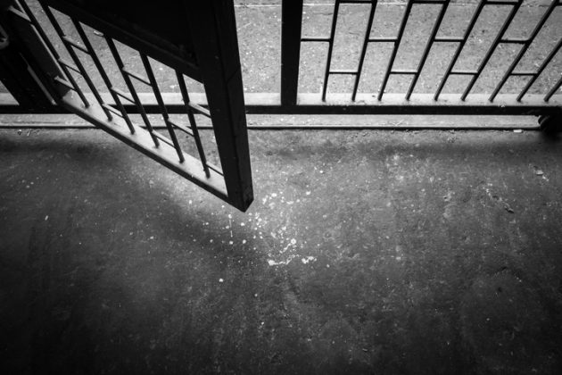 Inafiançabilidade constitucional e liberdade provisória: pluralidade normativa e unidade de sentido