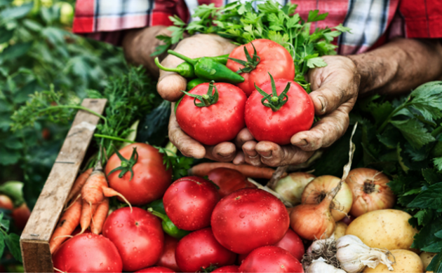 Empresa Agrária e Empresário Rural