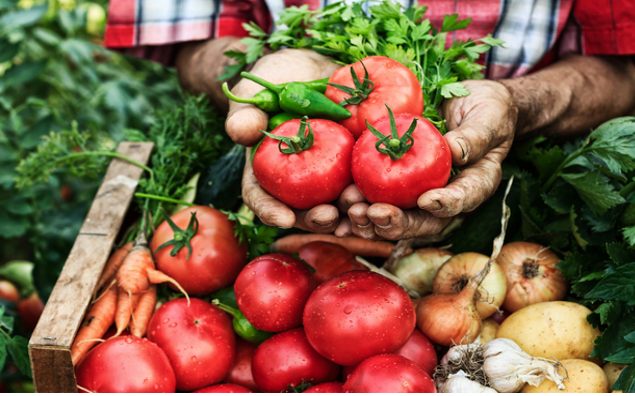 Empresa Agrária e Empresário Rural