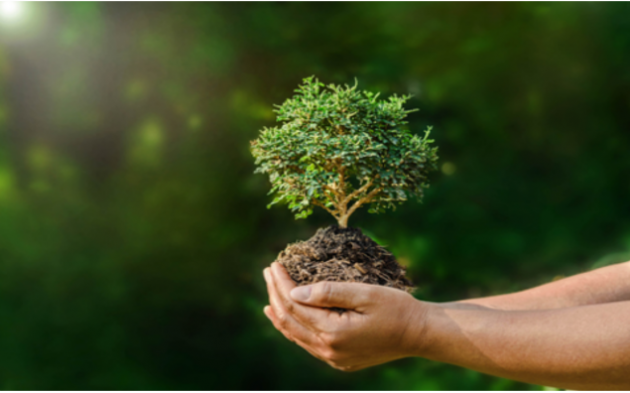 Brevíssimo Ensaio sobre a Função Socioambiental da Propriedade