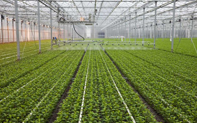 Barter como Instrumento de Financiamento ao Agronegócio