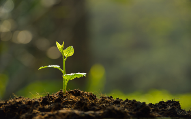 Histórico e Evolução do Crédito Rural Brasileiro. Da Colônia Extrativista aos Modernos Títulos e Mecanismos de Financiamento e Comercialização da Produção Agrícola