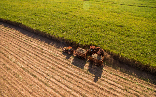 O Cenário do Crédito Agrícola Atual: Profissional, Moderno, Dinâmico e Globalizado