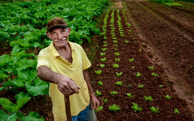 Quem Realmente Paga a Conta da Inadimplência no Agronegócio?