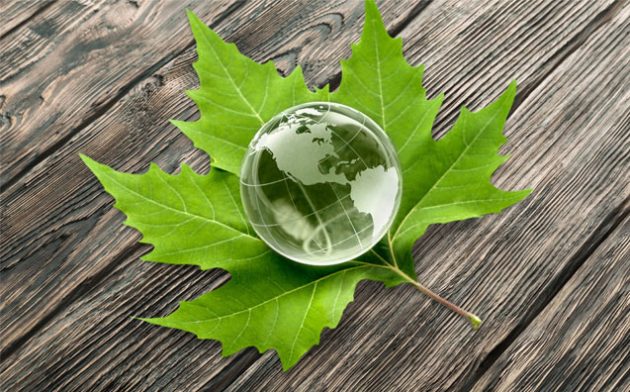 Grandes acidentes e evolução do Direito Ambiental