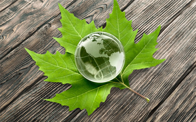 Grandes acidentes e evolução do Direito Ambiental