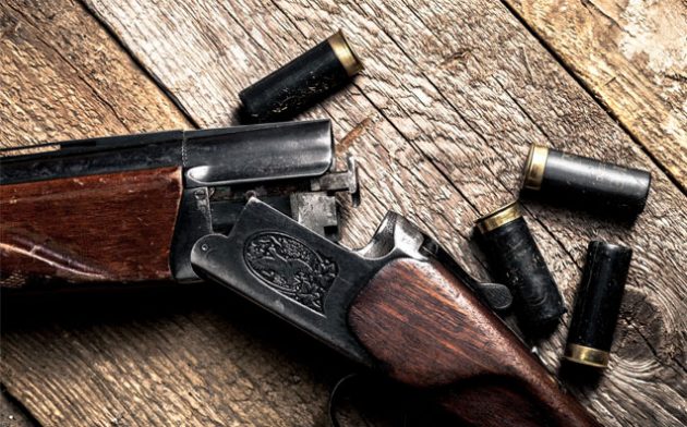 O novo conceito de posse estendida de arma de fogo em propriedade rural