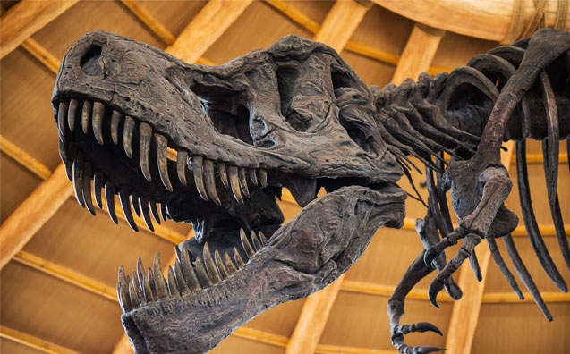 Os dinossauros do Novo CPC