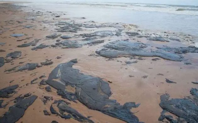 Lições de uma catástrofe anunciada: dano ambiental por vazamento de petróleo na costa do Nordeste e o lugar da responsabilidade civil ambiental na época do Antropoceno