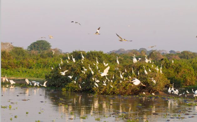 Regime jurídico dos Sítios Ramsar no Brasil