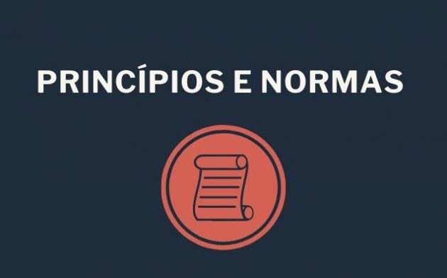 Distinção entre princípios constitucionais e normas programáticas na Constituição Federal