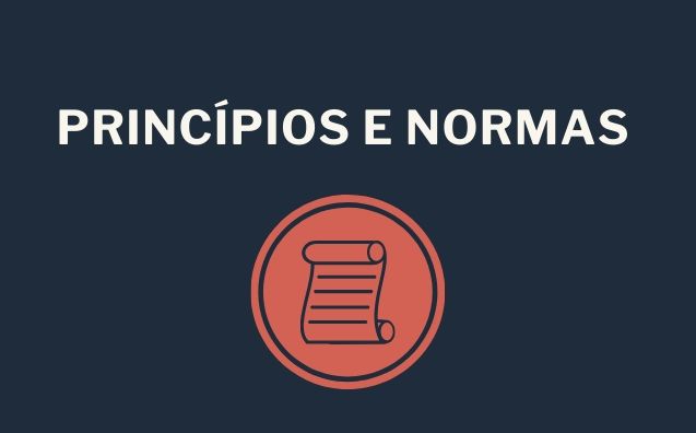 Distinção entre princípios constitucionais e normas programáticas na Constituição Federal