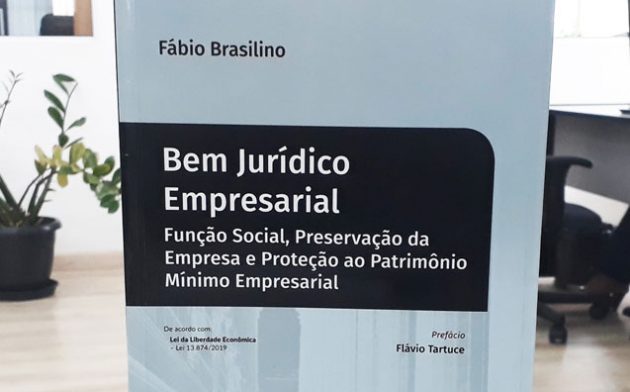 Resenha: Bem Jurídico Empresarial – Função Social, Preservação da Empresa e Proteção ao Patrimônio Mínimo Empresarial