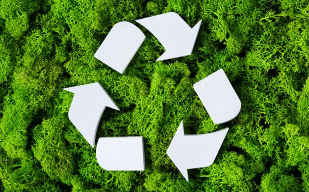 O Estado e a crise ecológica