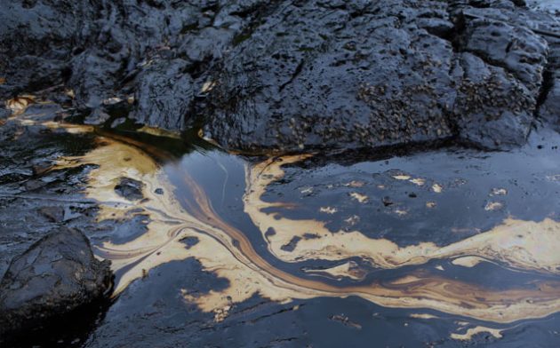 Juridicidade do Dano Ambiental: gestão da zona costeira e aspectos da exploração do pré-sal pelo Brasil – Parte 3